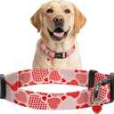 2 x Kazazoo Dog Collar Cute and Soft Nylon Puppy Collar Girl, Adjustable Dog Collars for Medium Large Dogs, Sweet Heart-L