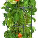 LINEX Raised Garden Bed Planter Box with Trellis, 56.7 Tomato Planters for Climbing Plants Vegetable Vine Flowers Outdoor Patio, Tomatoes Cage w/Self-Watering & Wheels (12.4*12.4*56.7 inch)