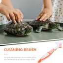 POPETPOP Turtle Shell Cleaning Brush Double-Sided Design with Flexible Bristles for Effective Mud and Dirt Removal on Aquatic Tortoise Shells and Aquarium Pets 6.29X1.96X0.59In