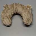 Jiupety Dog Calming Pillow, Soft and NeckFriendly, Washable Pet Neck Pillows for Small Medium Large Dogs and Cats, 14" x 9", Coffee