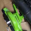 Greenworks 48V (24V x 2) 520CFM Leaf Blower/Vacuum, (2) 4.0 Ah Batteries