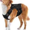 PETNANNY Tactical Service Dog Vest - No-Pull Emotional Support Harness with Hook & Loop Patches & Molle System for Training & Hunting (Black, Large)