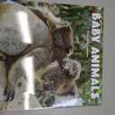 2026 Baby Animals 12-Month Wall Calendar by Turner