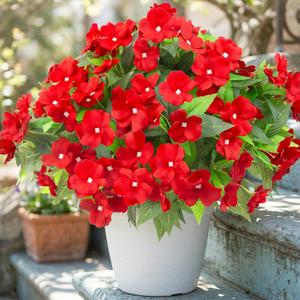 Daynight 4 Pcs Artificial Impatiens Flowers for Outdoor Flowers UV Resistant Faux Red Flowers Impatiens Bushes Silk Artificial Flowers Bouquet for Patio Garden Porch Decor (4, Red)
