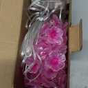 Mudder 33FT 100 LEDs Cherry Blossom Flower Fairy String Lights with Remote, USB & Battery Operated Pink String Lights for Bedroom, Indoor Outdoor Party Wedding Decoration