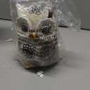 Oinas Cute White Owl Statue & Figurines for Home Decor - Adorable Gifts for Owl Lovers
