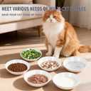 6 PCS Cat Bowls,Cat Food Bowl,Anti Whisker Fatigue Ceramic Cats Dishes for Indoor Cats,Shallow Wide Kitten Plates for Wet & Dry Food and Water,Non-Slip Silicone Base (Cute Drawing cat)
