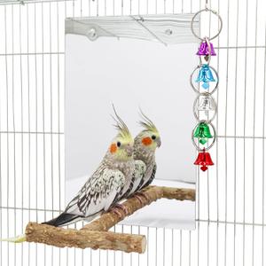 Oooct Large Bird Mirror Toy with Perch Stand, Parrot Parakeet Mirror with Bird Swing Bell Toys, Bird Cage Accessories, Suitable for Parakeet Cockatiel Conure Lovebirds - 11.8 7.9 Inch