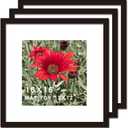 16x16 Picture Frame Black 3 Pack Solid Wood for Mat 12x12 Wall Mounting Square Poster Photo Frames