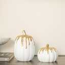 WDS WONDROUS Fall Pumpkin Decor Set of 2, White and Gold Pumpkins for Decorating, Resin Fake Pumpkin Figurines, Harvest Thanksgiving Mantel Table Centerpiece Autumn Home Decoration Gift