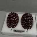 LUSHARBOR Pinecone Flameless Candles with Remote Timer, 2 Pack Real Wax Battery Operated LED Candles for Christmas Decorations, Rustic Holiday Table Centerpieces, Winter Home Décor Brown