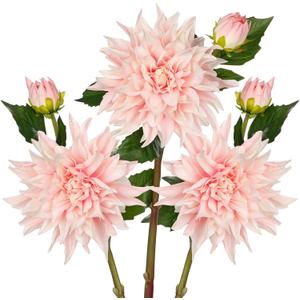 Artificial Dahlia Flowers  Set of 3 | 27.9" Tall Real-Touch Silk Dahlia Stems with Large 6.1" Blooms | Lifelike Soft Pink Faux Flowers for Home Decor, Wedding, Centerpieces & Floral Arrangements