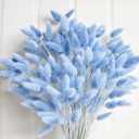 120 PCS Blue Dried Pampas Grass Decor, 17-inch Pompas Floral, Dry Flowers for Decoration, Pampas Grass in Bulk Tall, Blue Bunny Tails Dried Flowers for Boho Wedding Decor