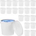 20 PCS Paint Buckets with Lids, 1 L Plastic Paint Bucket for Painting, 1/4 Gal 2 Pint Can Cylinder White Empty Storage Containers for Paint Liquids for Home,Office,Commercial Use