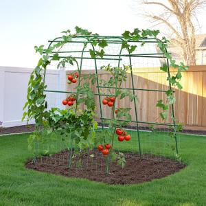 HIRALIY Garden Arch Trellis for Climbing Plants, 6.3ft Tall Heavy Duty Metal Cucumber Trellis, Rustproof Plant Support Tunnel for Tomato, Grape, Bean, Raised Bed and Vegetable Gardens, Green, 63"L x 68"W x 76"H-Arch Trellis