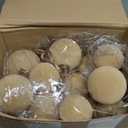 36 Pcs Champagne Velvet Christmas Balls Bulk - 2.36", 2.76", 3.15" Flocked Christmas Tree Ball Ornaments Hanging Decoration for Xmas Tree, Wreath, Home or Party Decorations