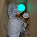 Gold Battery Operated Wall Sconces Set of 2, Rechargeable Wireless Wall Lights with Milky White Frosted Glass Shade, 12 RGB and 3CCT Dimmable, Wall Lamps with Remote for Bedroom Living Room Hallway