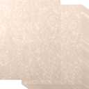 Epakh 200 Sheets Old Age Parchment Paper 8.5 x 11 Inch Standard Letter Vintage Colored Old Parchment Semblance Double Side Printing Paper(Dark Beige)