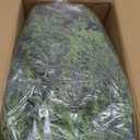 6 FT Christmas Cedar Garland, Real Touch Realistic Greenery Pine Garland for Mantle, Artificial Norfolk Pine with Lights for Stairs Railing Indoor Outdoor Christmas Decoration (1 Pack)