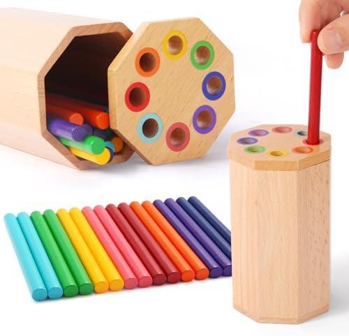 Montessori Toys for 1-3 Year Old: Wooden Learning Color Sorting Sticks Toys for Toddlers Age 1 2 3, Educational Fine Motor Developmental Sensory Matching Game Activities, 12 18 24 Month Kid Boy Girl