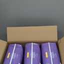 Amazon Basics Postpartum Incontinence Underwear for Women, Maximum Absorbency, Disposable, Bladder Leak Protection, Odor Control, Comfortable Fit, XX-Large, Lavender, 42 Count (3 Packs of 14)