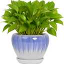 Deep Dream 6 Inch Plant Pots- Ceramic Planter Pot with Drainage Hole and Saucer, Round Flower Pot for Indoor Outdoor Succulent, Snake Plants and Cactus, White&Blue