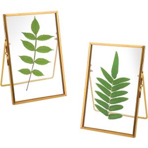TLBTEK 2 Pcs 6x8 inch Desk double glass Photo frames kit,Gold brass metal Picture Frame vertical for Pressed Flowers,Clear DIY Vintage Artwork Display Frame