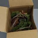 Wavwavw 6 Pcs Christmas Cedar Pine Branches 25.5 Inch Artificial Cedar Stems with Pine Cones Christmas Greenery Picks Fall Leaf Branch Norfolk Stems for DIY Crafts Xmas Winter Wreath Garland Decor