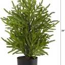 Nearly Natural 2ft. Norfolk Island Pine Natural Look Artificial Tree in Decorative Planter
