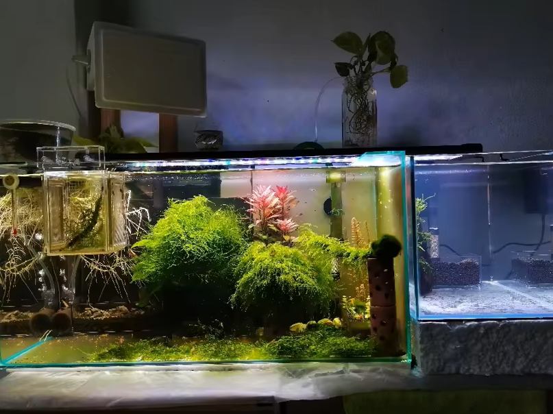 30cm 12inch Aquarium LED WRGB Marine Light Intelligent Touch Control Fish Tank Aquaculture Decoration Light With Bracket