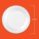 Hefty Everyday Soak Proof Disposable Foam Plates, 8.9 Inches, 100 Count, Disposable White Plates for Lunch, Salads, and Appetizers, Great for Everyday Use, Easy Cleanup