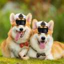 Pet Captains Hat White Sailor Hat for Cats Small Dogs Halloween Cosplay Costume Cap Doggy Navy Outfit Cosplay Apparel