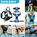No Pull Dog Harness Adjustable Collar & Leash Set - Dog Halter Harnesses Collapsible Bowls & Poop Bag Dispenser Muzzle ID Tags Toys Fits Dogs (Blue-M)