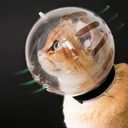 Cat Transparent Muzzle with Breathable Hood, Adjustable Kitten Astronaut Helmet Prevent from pet Biting Chewing Grooming Hoqqf, Ball Mask for Aggressive Cat (XL)