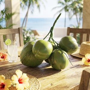Novabright Fake Coconut, 1 Bunch Artificial Coconuts for Decoration, Lifelike Tropical Fake Green Coconuts Prop Artificial Fruit for Home Decoration Display Photo Prop(Five Coconut)