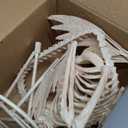 JOYIN Flamingo Skeleton Halloween Decorations 27.6 Inch Tall Spooky Flamingo Posable Animal Skeleton with Movable Joints for Halloween Indoor Outdoor Yard Garden Lawn Patio Prop Decor