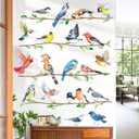 decalmile Birds on Branch Wall Decals Colorful Bird Wall Stickers Bedroom Living Room Office Kitchen Home Decor