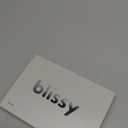 Blissy Silk Pillowcase - 100% Pure Mulberry Silk - 22 Momme 6A High-Grade Fibers - Silk Pillow Cover for Hair & Skin - Regular, Queen & King (Silver, Standard)