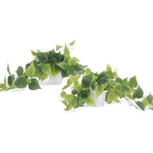 Tiita 2 Pack Fake Plants Artificial Scindapsus Aureus in Pots, Realistic Fake Greenery Potted Plants for Home Office Desk Window Sill Bathroom Bedroom Outdoor Indoor