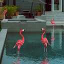 XONOR Metal Flamingo Garden Statues Red Flamingo Yard Art Outdoor Sculptures for Home Patio Lawn Backyard Décor, Set of 2