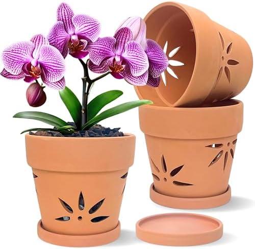 Thriving Thicket Handmade 3 Pack 6 inch Terracotta Orchid Pots with Holes and Saucers, Clay Orchid Planter Pots for Repotting, Small Terra Cotta Vase, Ceramic Plant Flower Pot Indoor Outdoor