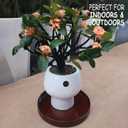 Ceramic Plant Saucer 12 Inch, Round Plant Trays for Indoors/Outdoors, Flower Pot Saucers for Holding Water Drips and Soil, Ceramic Drainage Tray for Plant Pot (Reactive Glaze Brown)