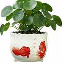 Ceramic Planter with Saucer - 3D Embossed Goldfish Design, Scalloped Edge Decorative Flower Pot for Indoor Outdoor Succulent Cactus, White Porcelain Plant Container with Drainage Hole
