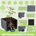 Tomato Planter Box with Trellis - Self-Watering Rolling Raised Garden Bed with Tomato Cages for Climbing Plants - Tomato Pots with Cage Plant Support for Flower Vegetable Vine Indoor Outdoor