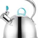Harriet Tea Kettle for Stove Top, 2.5 Quart Stainless Steel Whistling Tea Pot, 3-Layer Base, Unique Dolphin-Shaped Ergonomic Handle, Includes Pot Holder & Mat, Gas Electric Applicable, Mirror Finish