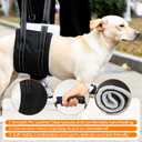 Dog Lift Harness, Adjustable Comfortable Dog Sling with Handle for Hind Leg Support Soft Lift Support and Rehab Harness for Weak Rear Legs, Helps Senior, Injured, Disabled and After ACL Surgery Dogs S