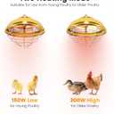 Hanging Chicken Coop Heater, 300W 2 Heating Levels Premium Waterproof Heaters for Chicks Brooder Pen, Duck, Pet House, Poultry, Greenhouse Plant