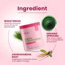 Greens Powder Daily Drink Mix with Spirulina,Vegetables & Probiotics, Digestive Enzymes | Detox,Health & Wellness Support | Vegan Protein,Non-GMO, Gluten-Free,No Additives – 30 Servings