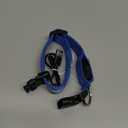 Super Bright LED Dog Collar - Fully Waterproof & Adjustable Glow Collar - USB-C Rechargeable for Night Walking, Safety - Flashing Lighted Collar for Dogs(Blue,Small) (Small (11" - 15.5"))