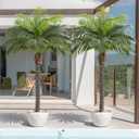 5ft Artificial Phoenix Palm Tree for Outdoor Indoor Decor, Faux Coconut Silk Palm Tree Tropical Fake Tree Plant for Outside Patio Indoor Home Office Bathroom Pool Coastal Decor (Set of 2)